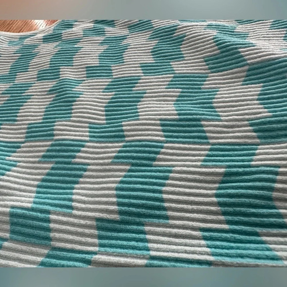 Garage NWOT high neck checker blue and light blue ribbed crop top in SM & LG - Picture 4 of 8